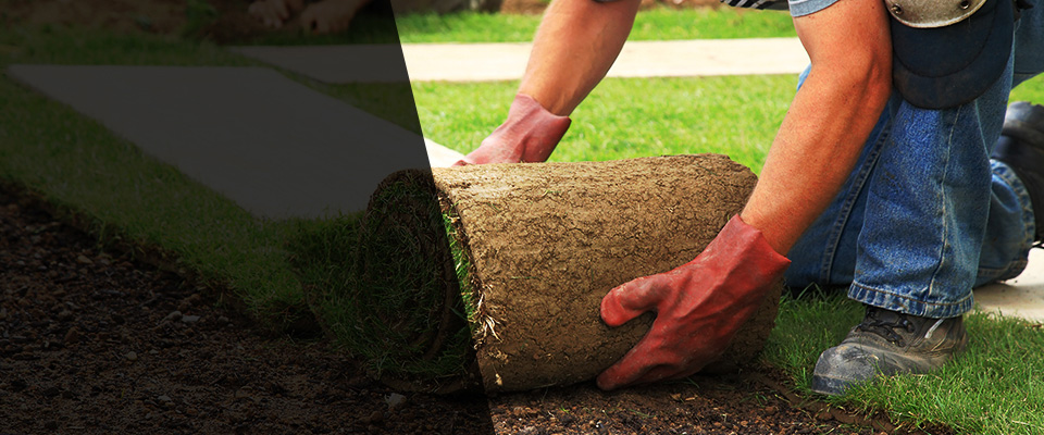 Riverside Landscapers